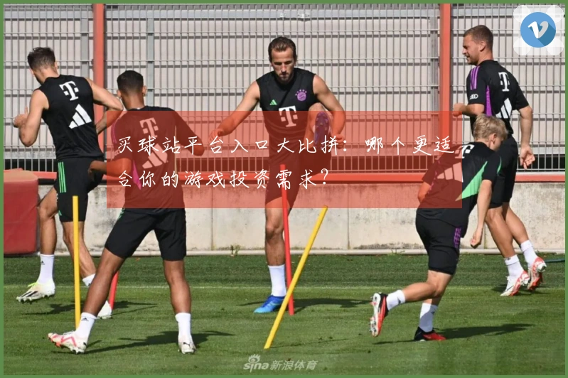 买球站平台入口大比拼：哪个更适合你的游戏投资需求？